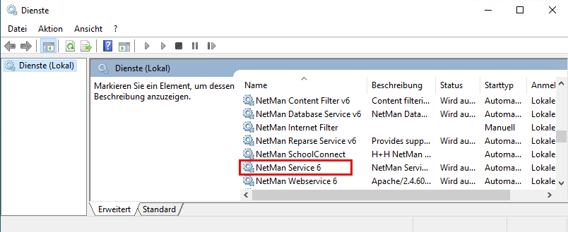 NetMan Service in den Windows Diensten